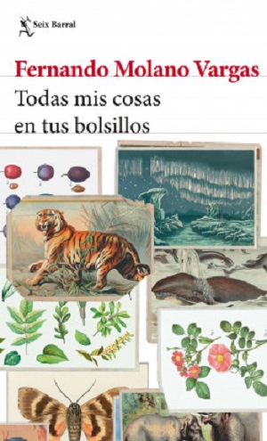 Todas mis cosas en tus bolsillos