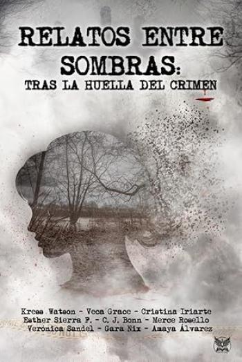 Inicio 17 relatos entre sombras aa vv